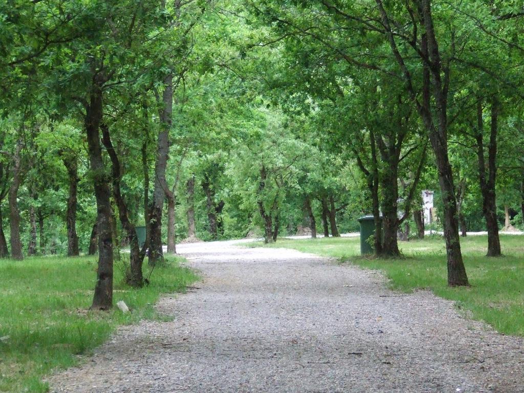 Camping Vila De סאריה מראה חיצוני תמונה